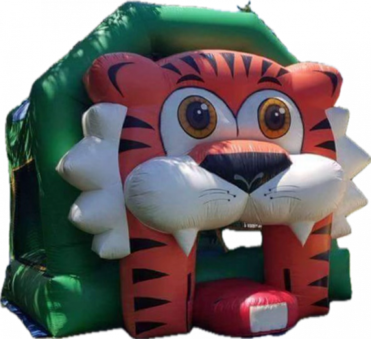 Bounce House Rentals